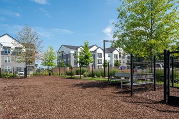 Dog park